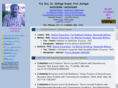 zulfigarakdogan.com