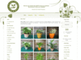 giftaplantonline.com