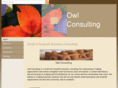 owlconsultingnm.com
