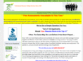 theresumeclinic.com