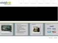vividink.co.uk
