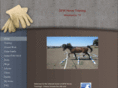 dfwhorsetraining.com