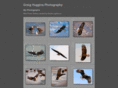 greighugginsphoto.com