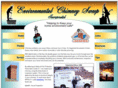safechimneys.com