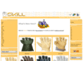 skillbolivia.com