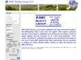 amcrealtygroup.com
