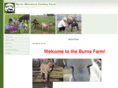 burnsfarmminidonkeys.com