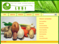 lobifruit-vegetables.com