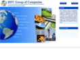 msvgroup.com