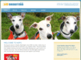allseasonspetcare.com