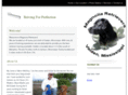 magnoliaretrievers.com