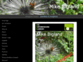 mikebigland.com