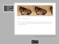 motesporthorses.com