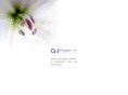 oxygen-lab.com
