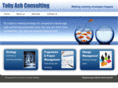 tobyashconsulting.com