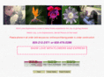 aloveofflowers.com