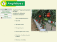 anglebase.net