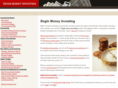 beginmoneyinvesting.com