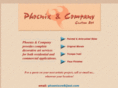 phoenixandco.com