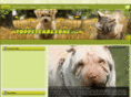 toppetcarezone.com