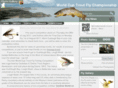 worldcuptroutfly.com
