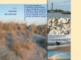 capecodbreezes.com