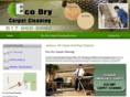 ecodrycarpetcleaningmichigan.com