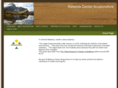 balancecenteracupuncture.com