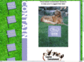 caninecontainmentfencing.com