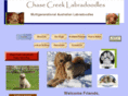 chasecreeklabradoodles.com