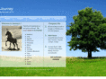 journeywebsite.com