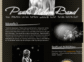 paulanelsonband.com