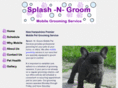 splashandgroom.com