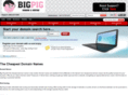 bigpigit.com
