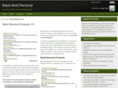 blackmoldremovaltips.com