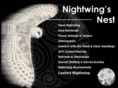 nightwingsnest.com