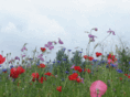 otchatillon51.com