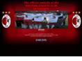 torontowingedbull.com