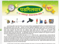 padgilwar.com