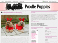poodlepuppiesnow.com