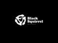 weareblacksquirrel.com