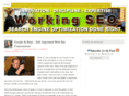 workingseo.com