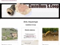 castellumscoop.com