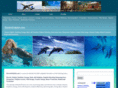 electricdolphin.com