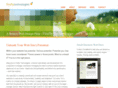 fire-flytechnologies.com