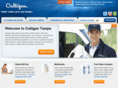 culligansoftwater.com