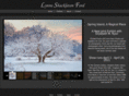 lynneford.com