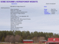 schumm.com
