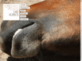 somethingspookedthehorses.com