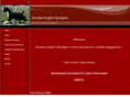 avonleaenglishspringers.com
